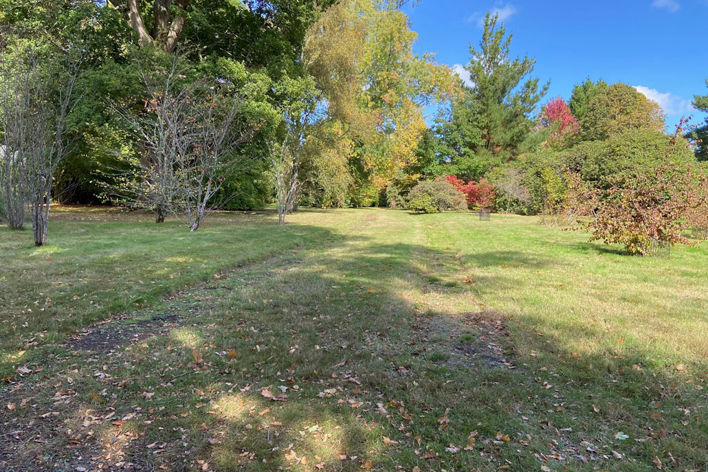 garden-for-the-future-before